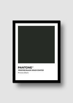 Cuadro Pantone Process Black en internet
