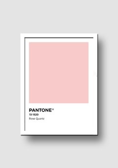 Cuadro Pantone Rose Quartz Color del año 2016 - Memorabilia
