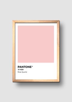 Cuadro Pantone Rose Quartz Color del año 2016 - comprar online