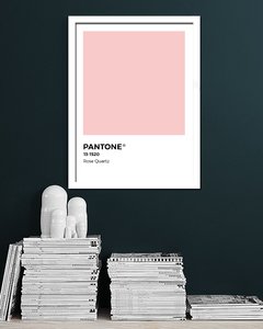 Cuadro Pantone Rose Quartz Color del año 2016