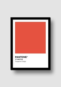Cuadro Pantone Tangerine Tango Color del año 2012 en internet