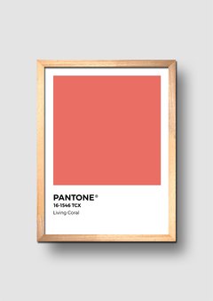 Cuadro Pantone Living Coral Color de año 2019 - comprar online