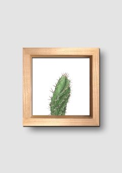 Cuadro Acuarela Cactus Cereus Macro - tienda online