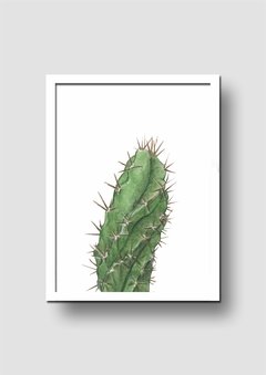 Cuadro Acuarela Cactus Cereus Macro - Memorabilia