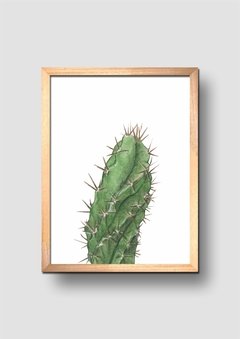 Cuadro Acuarela Cactus Cereus Macro - comprar online