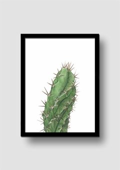 Cuadro Acuarela Cactus Cereus Macro en internet