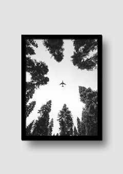 Cuadro Avión en el Bosque - Memorabilia