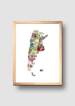 Cuadro Mapa Argentina Flores - comprar online