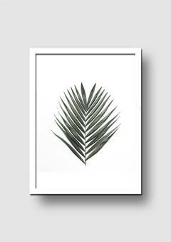 Cuadro Palm Spring - Memorabilia