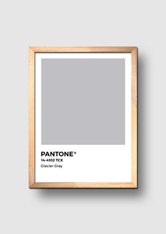Cuadro Pantone Glacier Grey - comprar online