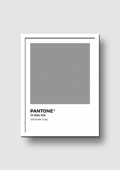 Cuadro Pantone Ultimate Gray Color del año 2021 - Memorabilia