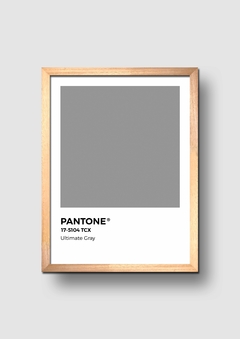 Cuadro Pantone Ultimate Gray Color del año 2021 - comprar online