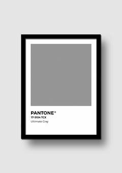 Cuadro Pantone Ultimate Gray Color del año 2021 en internet