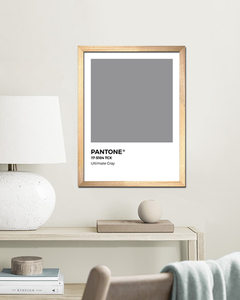 Cuadro Pantone Ultimate Gray Color del año 2021