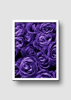 Cuadro Fotografía Rosas Violetas - Memorabilia
