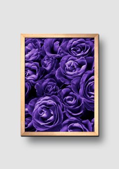 Cuadro Fotografía Rosas Violetas - comprar online