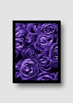 Cuadro Fotografía Rosas Violetas en internet