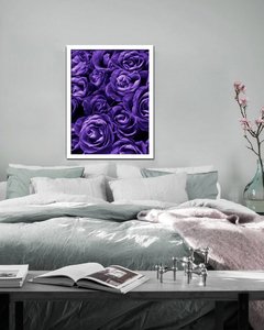 Cuadro Fotografía Rosas Violetas