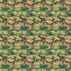 1297 - camo pixel