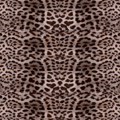 2153 - LEOPARD NO REPTIL