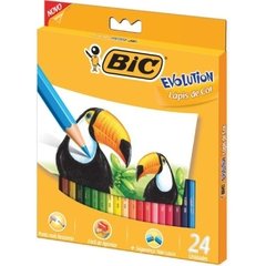 Lápis de Cor Sextavado Evolution 24 Cores - Bic