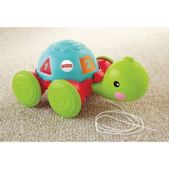 Fisher-Price Empurra Tartaruga - Mattel - Riscom - Comércio Online