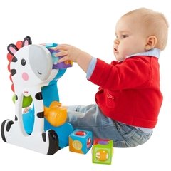 Imagem do Zebra Blocos Surpresa Fisher-Price - Mattel