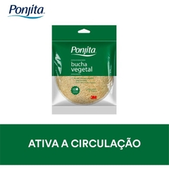 Esponja de Banho Ponjita Vegetal - 3M - comprar online