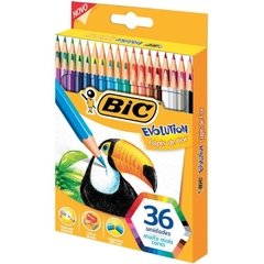 Lápis de Cor Sextavado Evolution 36 Cores - Bic