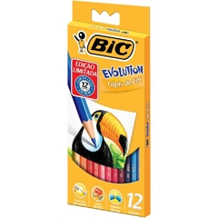 Lápis de Cor Sextavado Evolution 12 Cores - Bic