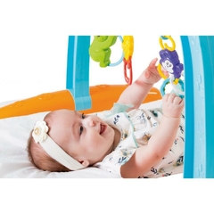 Brinquedo para Bebê Baby Gym Pet Sortido - Tateti - Riscom - Comércio Online