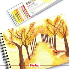 Giz Pastel Oleoso com 50 cores - Pentel na internet