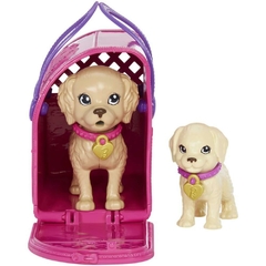 Barbie Family Adota Um Cachorrinho - Latina - Mattel na internet