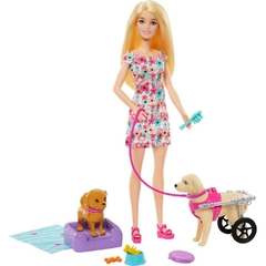 Barbie Family Animais de Estimação Cadeira de Rodas - Mattel