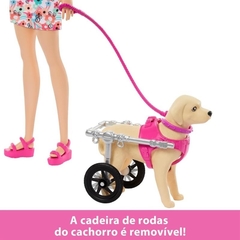 Barbie Family Animais de Estimação Cadeira de Rodas - Mattel - loja online