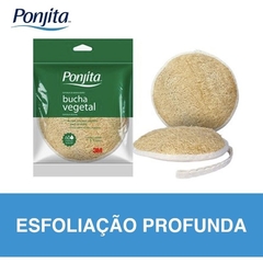 Esponja de Banho Ponjita Vegetal - 3M - loja online