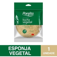 Esponja de Banho Ponjita Vegetal - 3M na internet