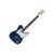 Guitarra Newen TL Telecaster Blue Wood na internet