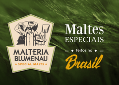 Malte Blumenauer II - Blumenau - comprar online