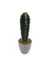 Cactus 187-6