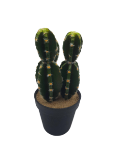 Cactus 187-3