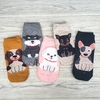SOQUETES LISO DOGS SET X5