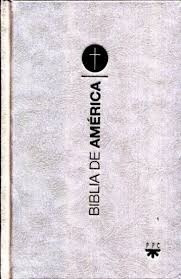Biblia De America Popular Nacarada - Ppc