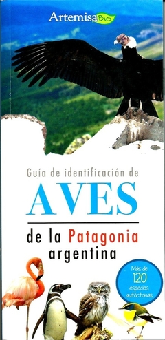 Guía de identificación aves de la patagonia