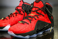 Lebron 12 kings cloak new arrivals