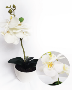 orquidea blanca en maceta ceramica (XD17996-WH)