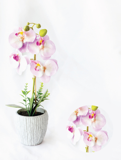 Orquídea en maceta gris/rosa (XD17-995-PK)