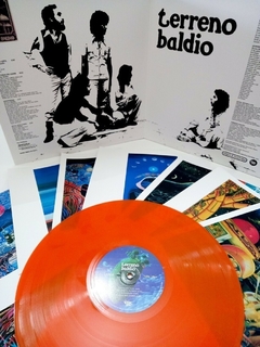 TERRENO BALDIO - 1976/2022 - LARANJA - comprar online