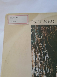 PAULINHO PEDRA AZUL - JARDIM DE FANTASIA - comprar online