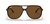 Ray Ban - Bill Polarizado RB2198 902/57 - Optical Tienda de Lentes